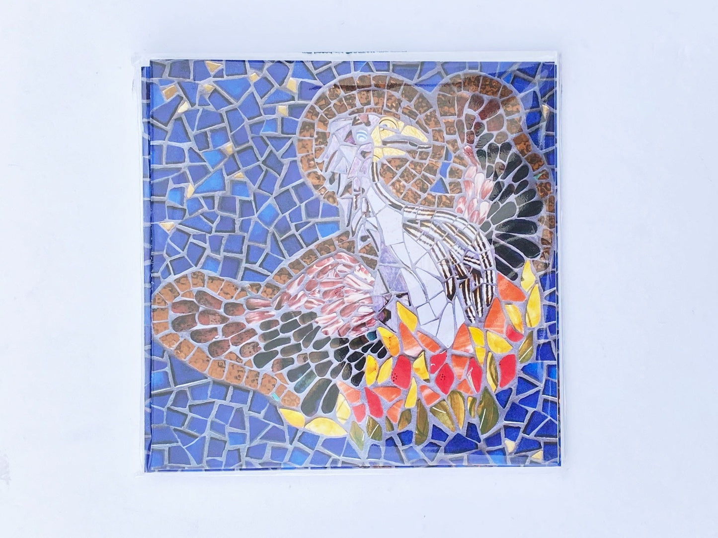 4 SOUTHERN BIRDS Greeting Cards