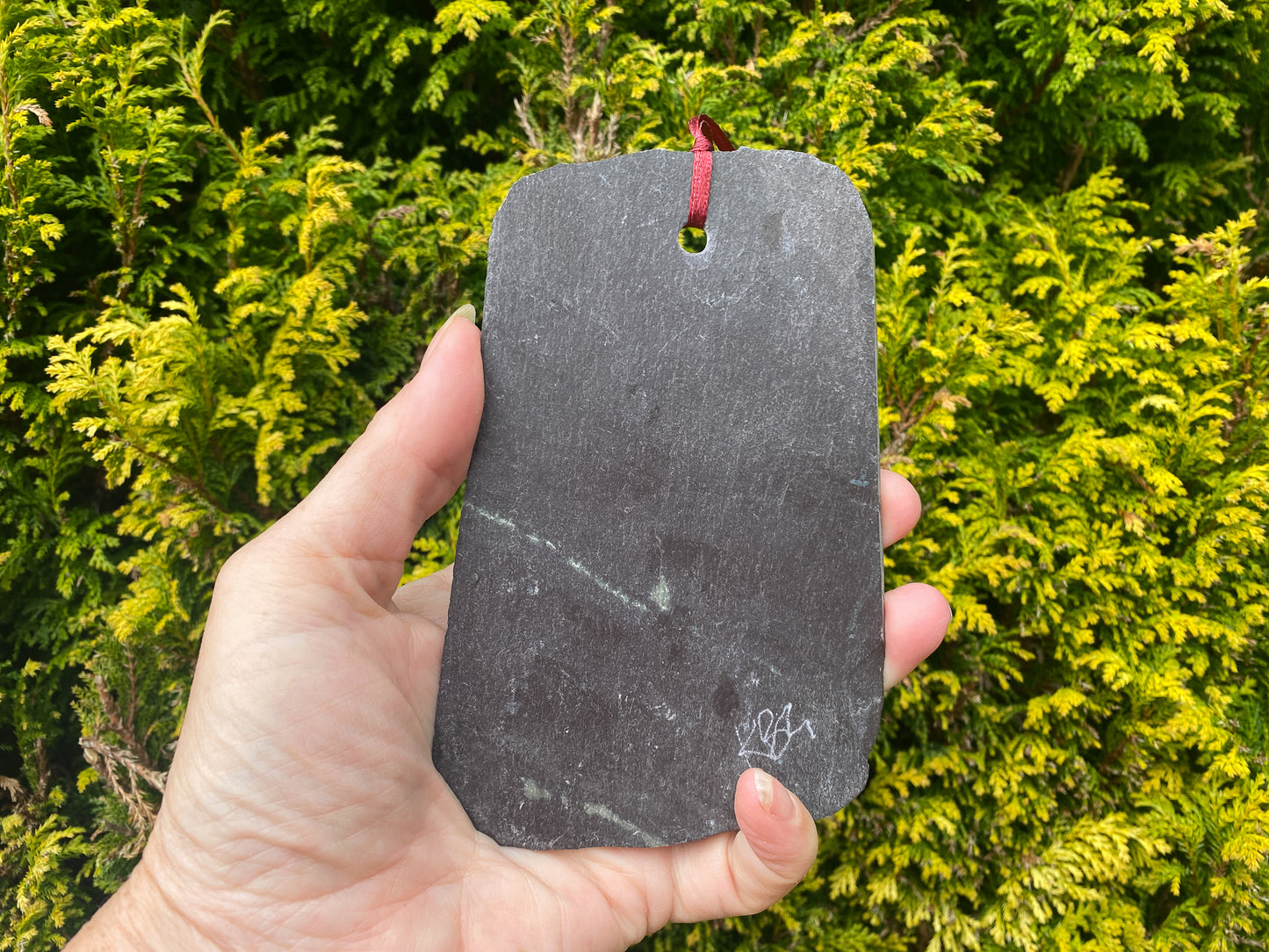 reverse of mosaic on slate showing signature and hole with ribbon, hand held with an evergreen tree behind