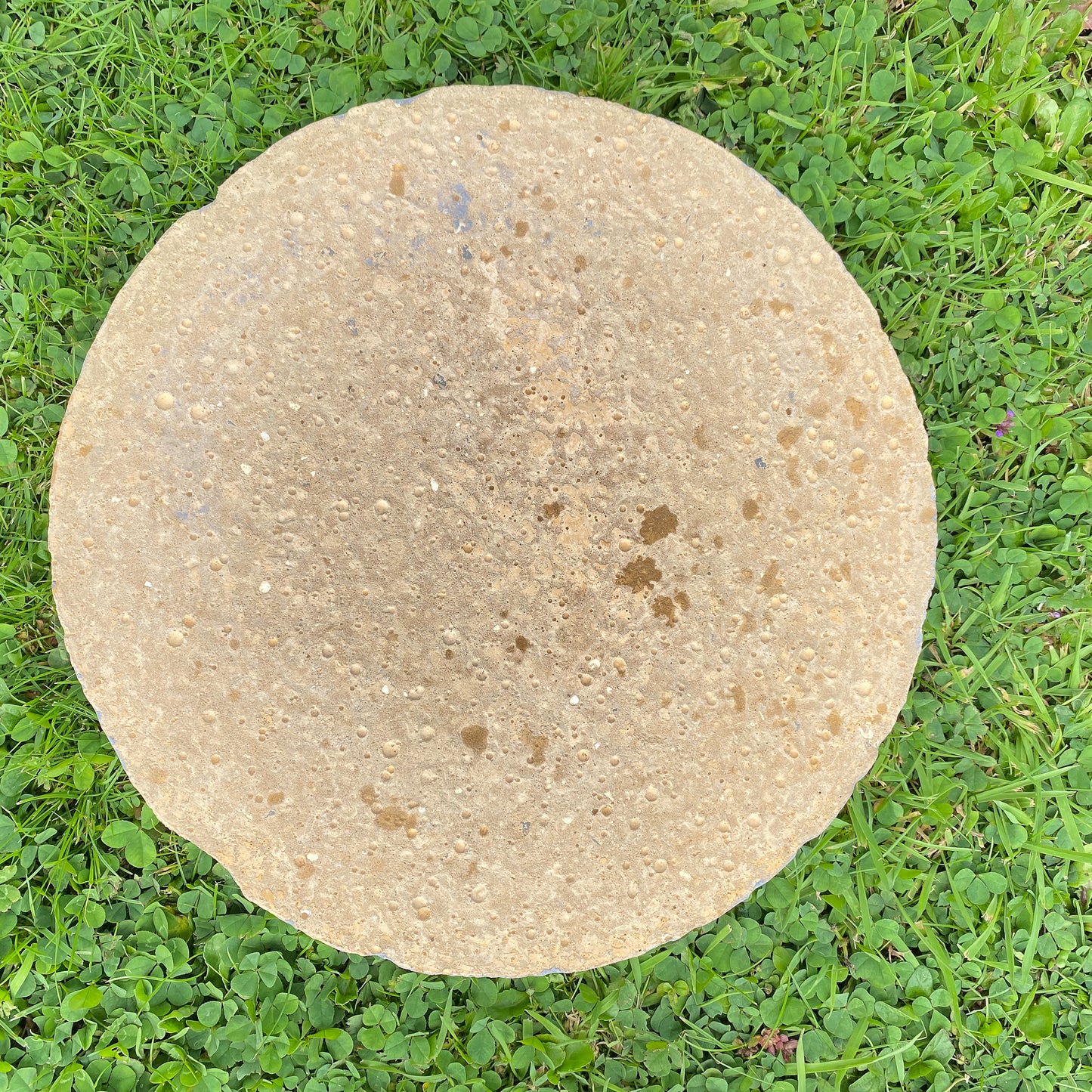 A round concrete stone slab with a textured, sandy beige surface, photographed from directly above on a bed of green grass and clover.