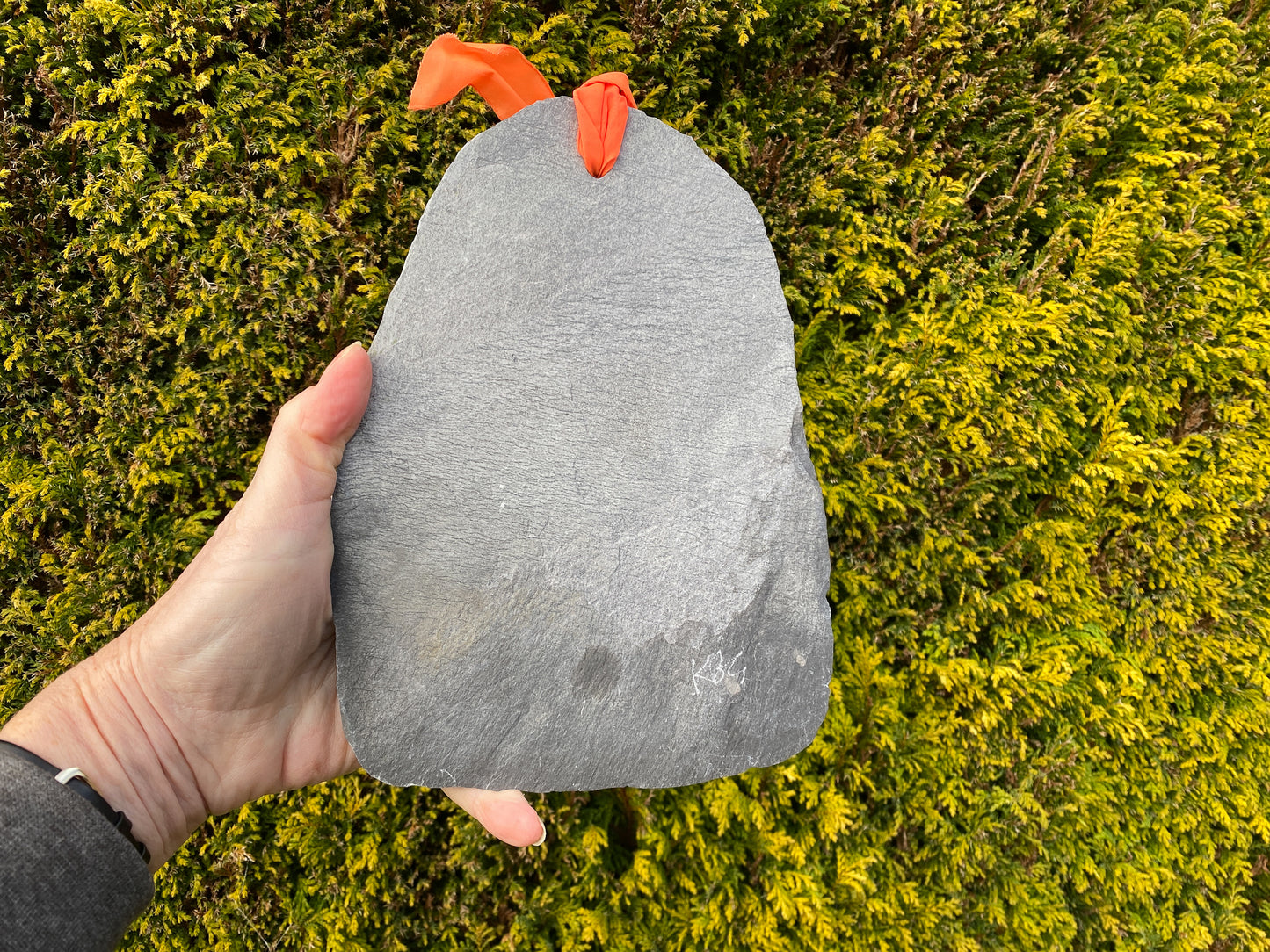 a grey slate with a hole at the top and orange ribbon, showing the reverse of a mosaic slate. against an evergreen background