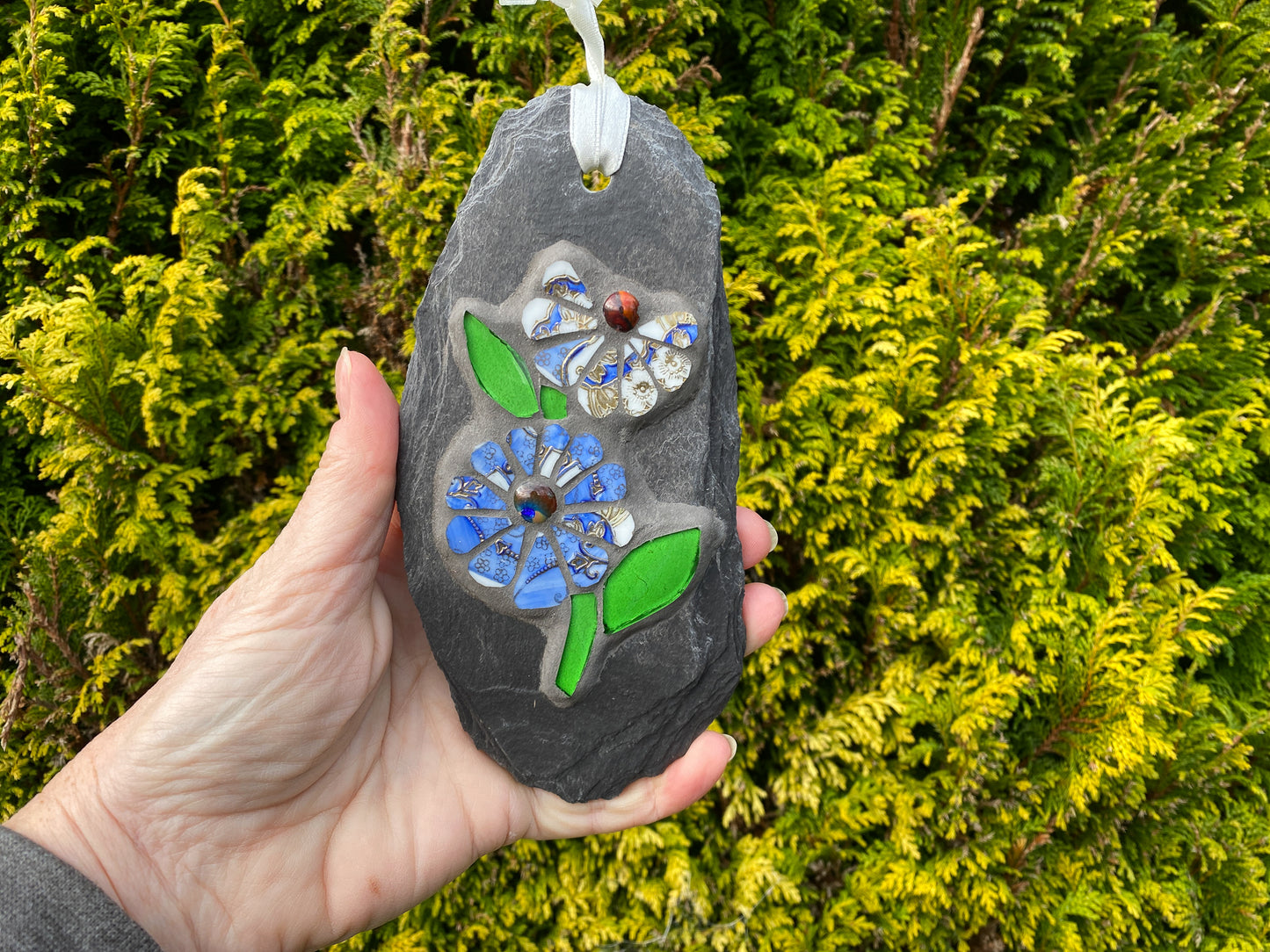 two cornflower blue and white flowers with bright green leaves in mosaic on a grey slate, hand held, against an evergreen tree background