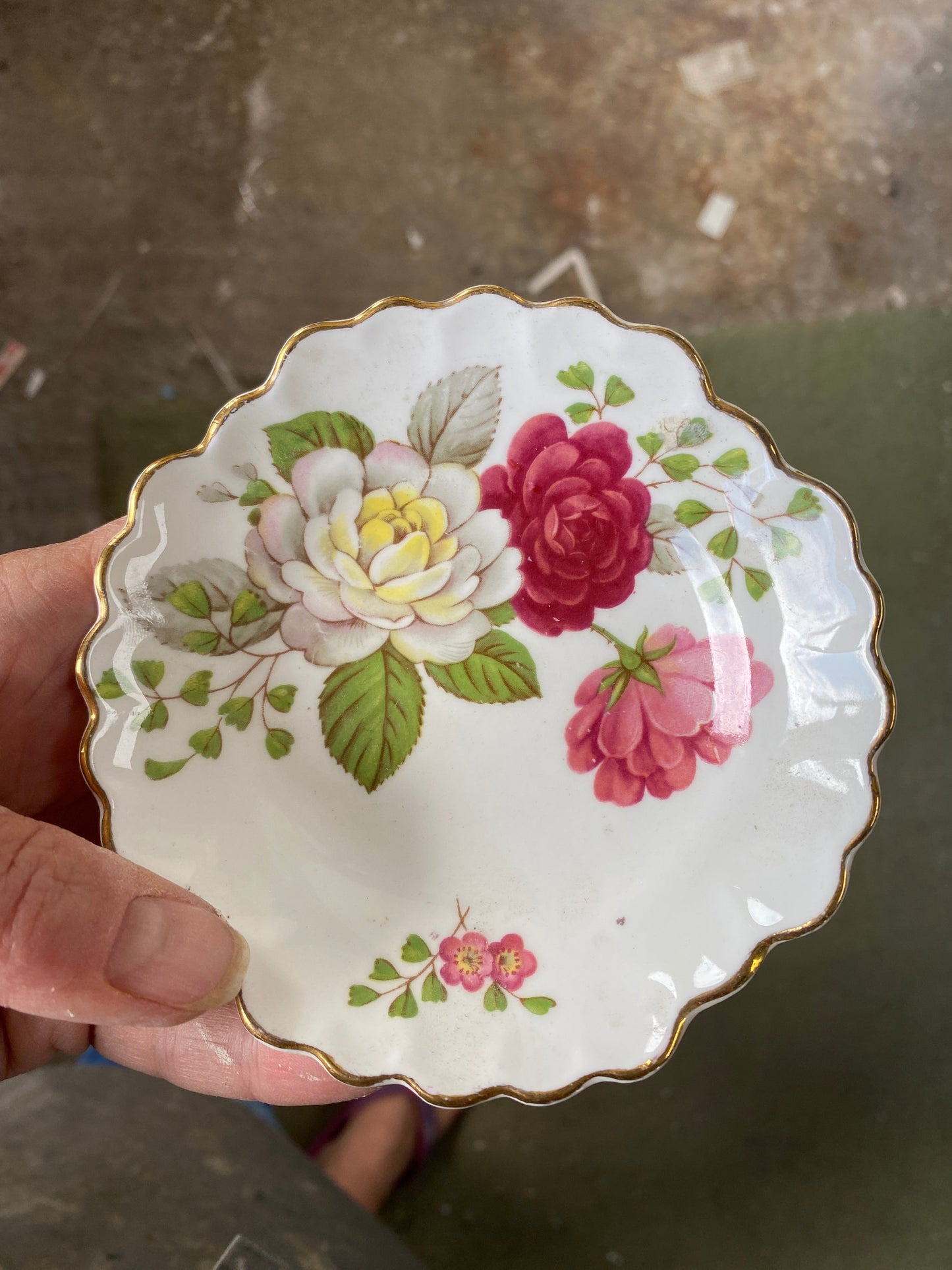 Decorative plate with floral design held by a hand against a blurred background