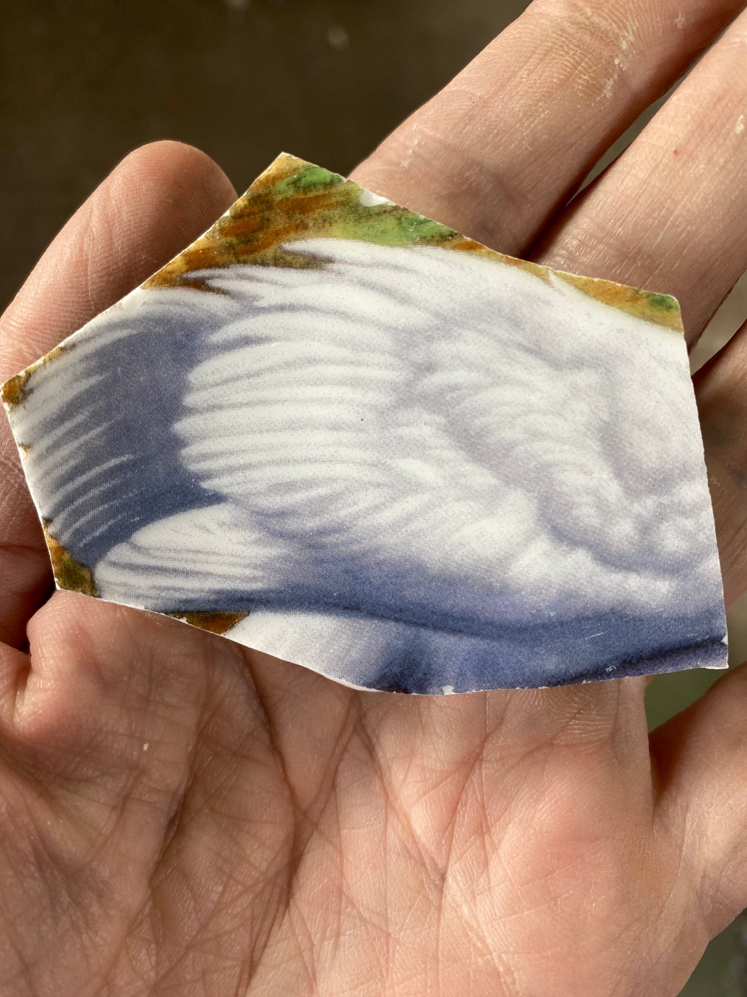 Piece of broken ceramic with feather design held in a hand
