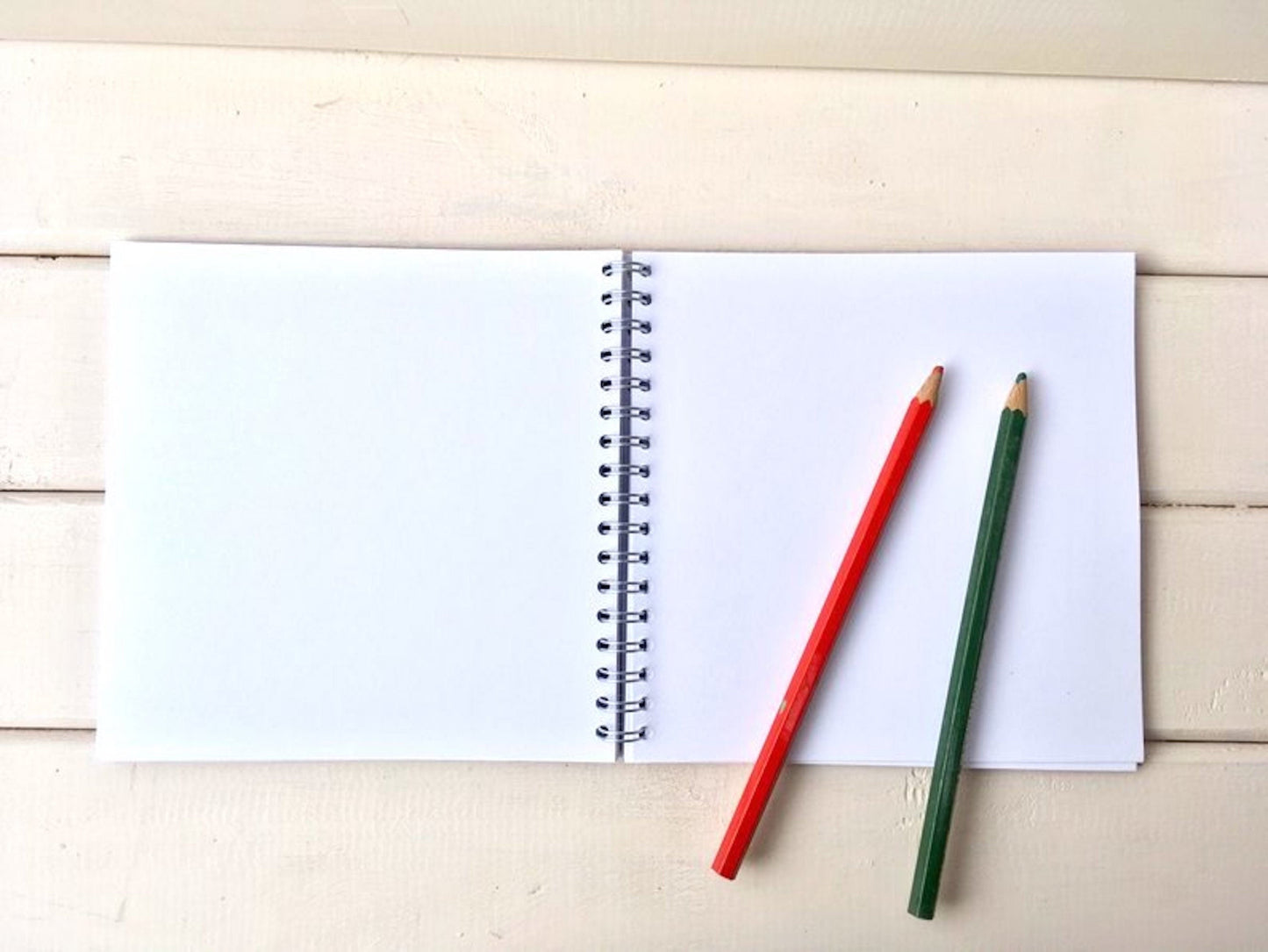 FLIGHT OF THE MISCELLANEA notebook