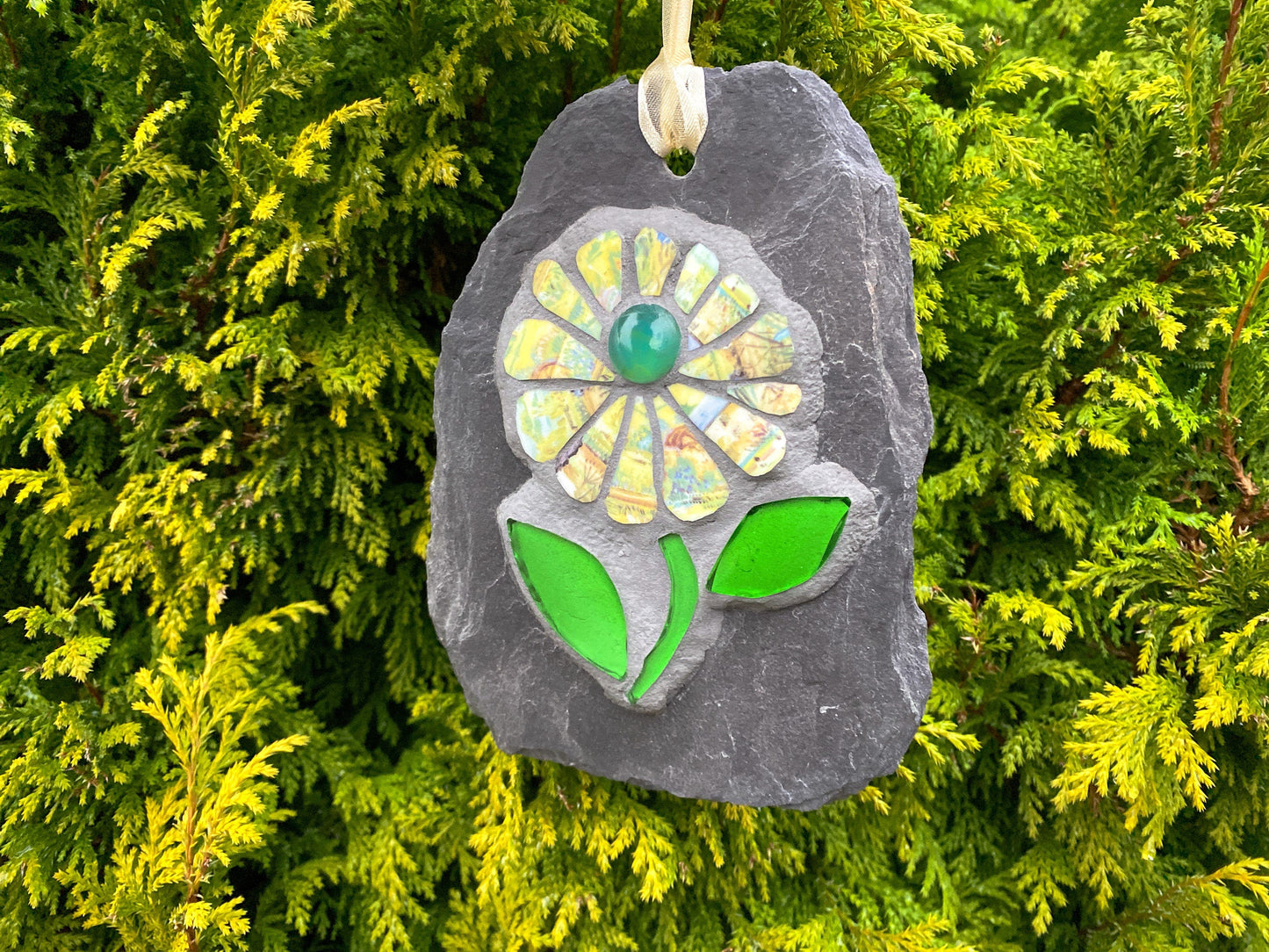 Mosaic flower with yellow patterned petals, and bright green leaves, on slate. Shown against an evergreen tree