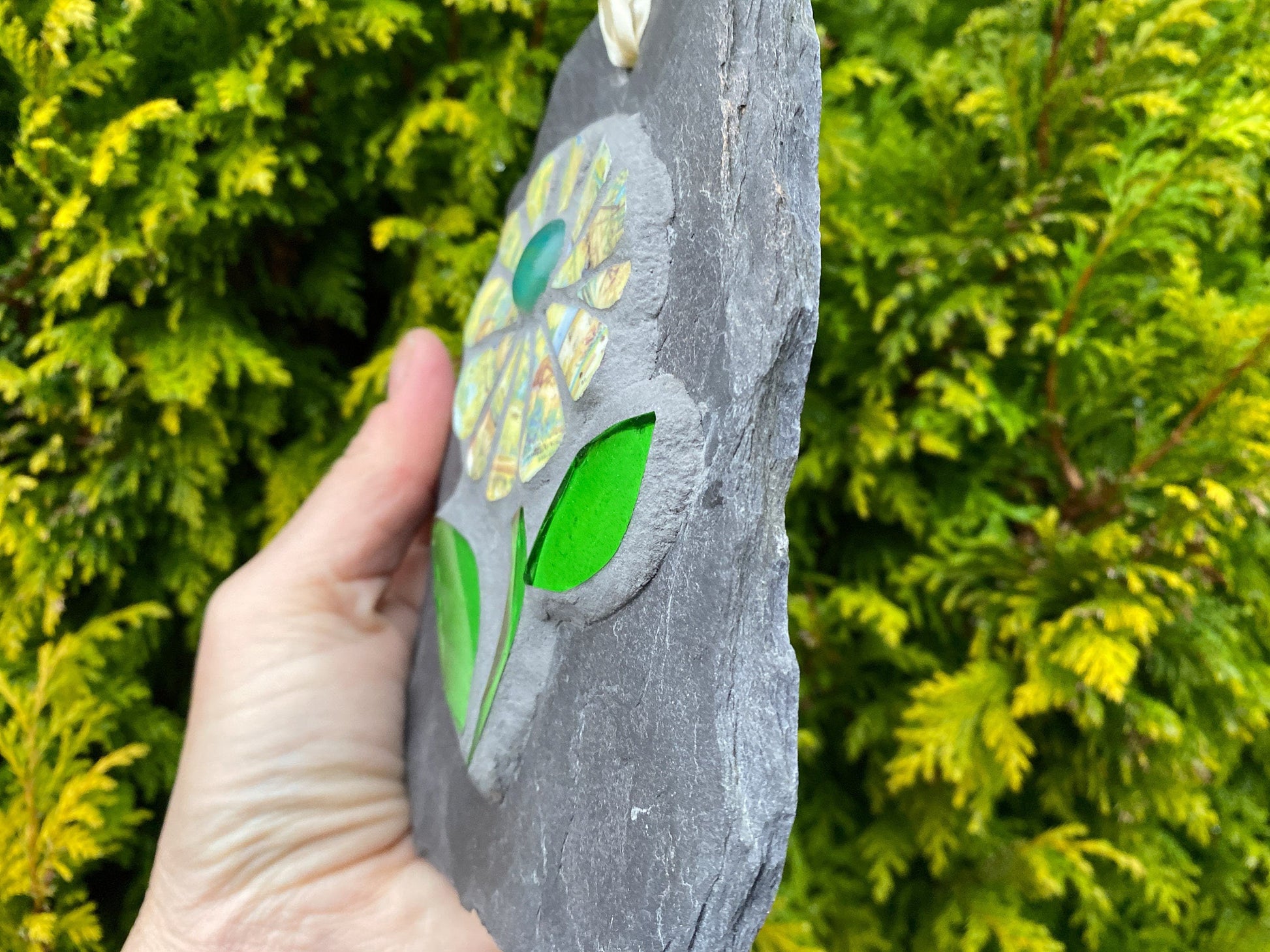 Mosaic flower with yellow patterned petals, and bright green leaves, on slate, hand held. Shown against an evergreen tree