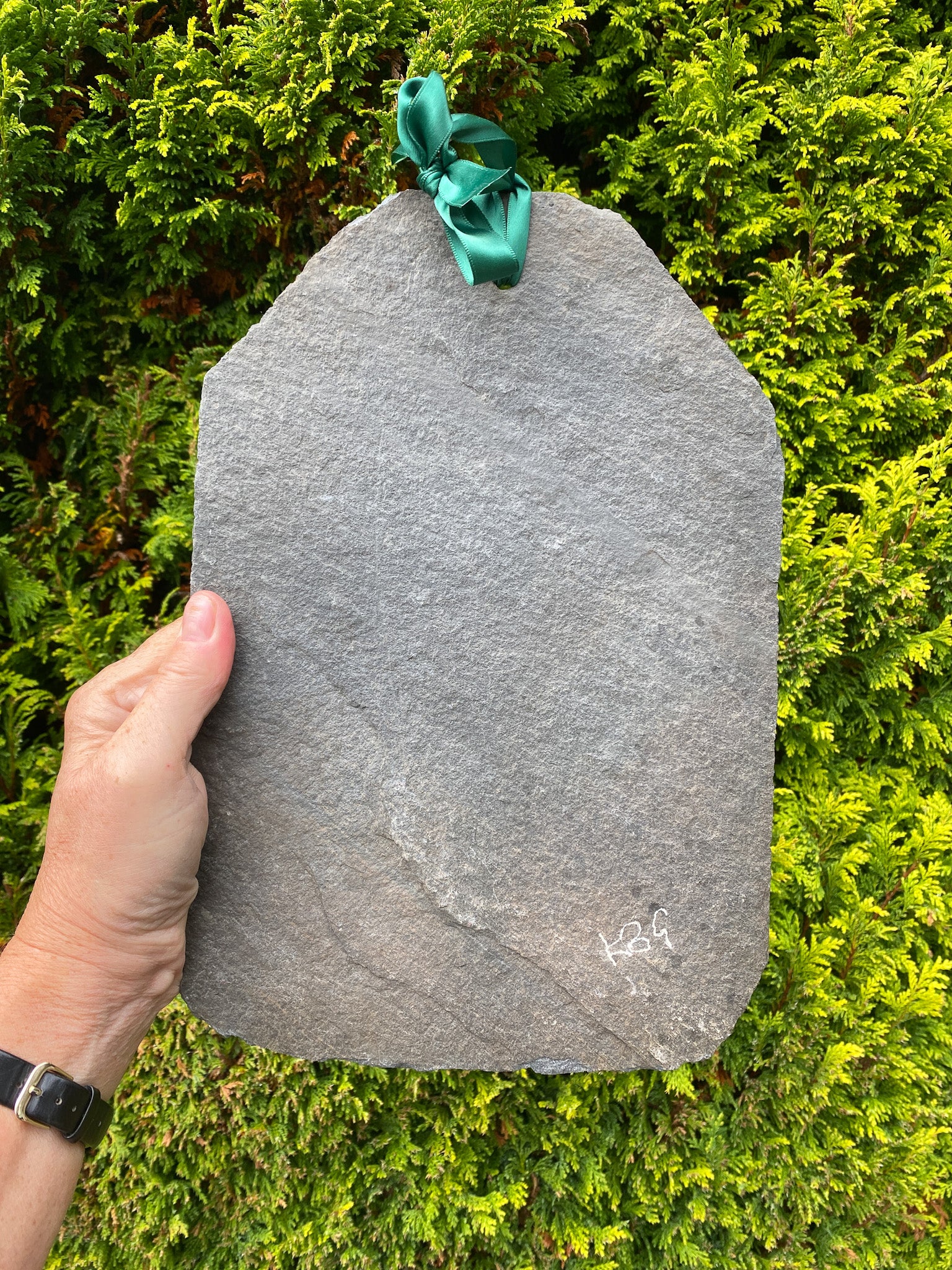 Person holding a gray stone with a green ribbon against a green bush background