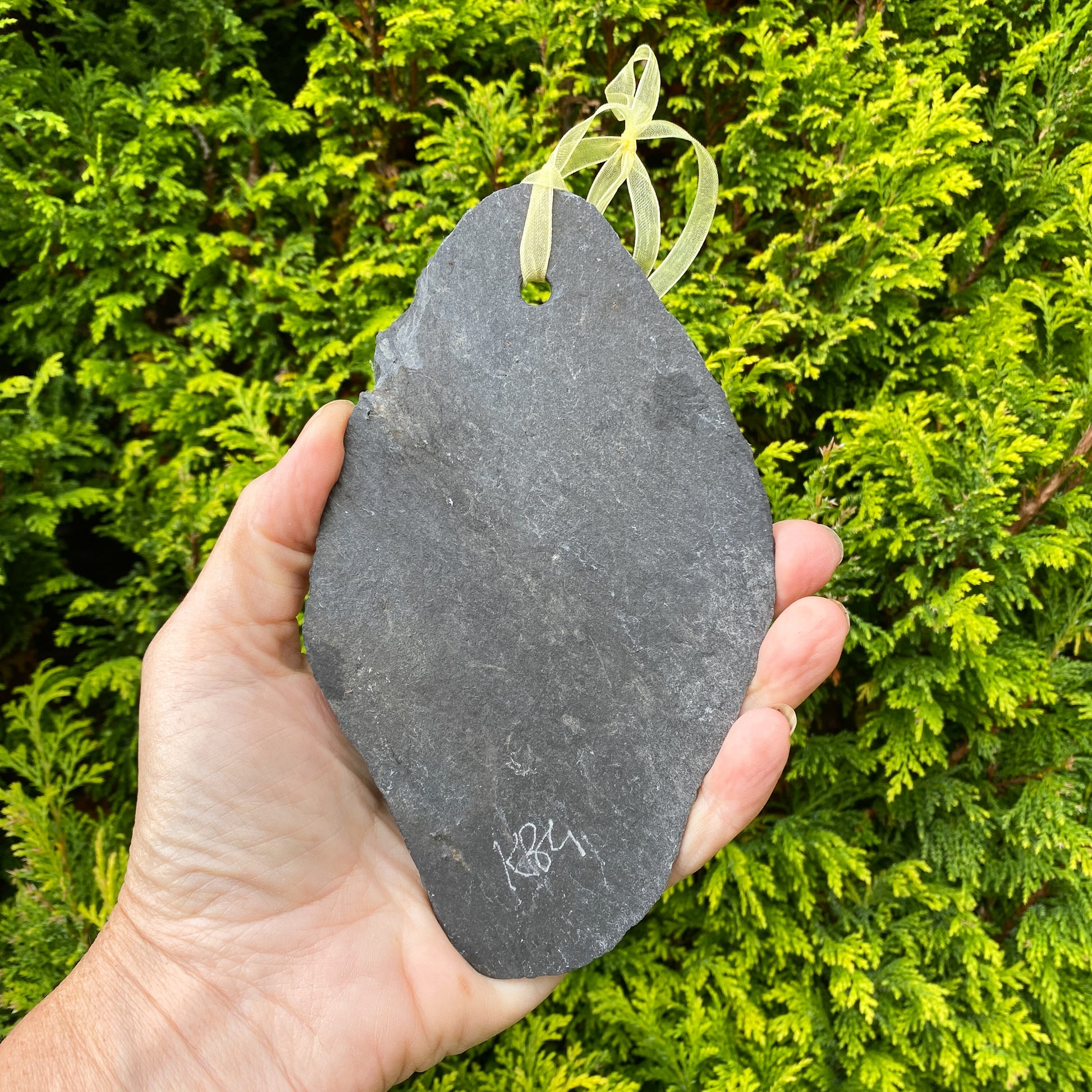 Hand holding a gray leaf-shaped slate with greenery in the background