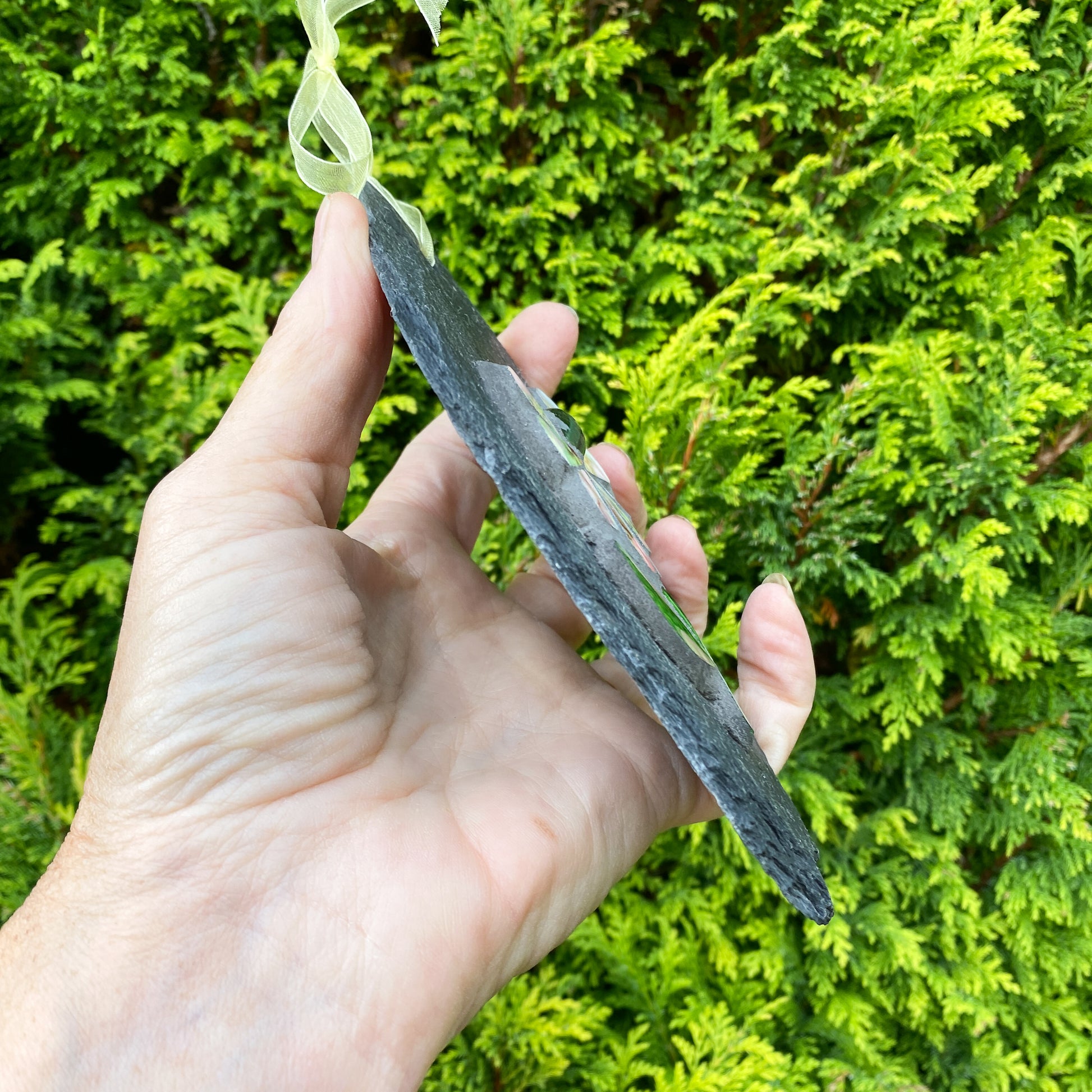 Hand holding a stone with greenery in the background