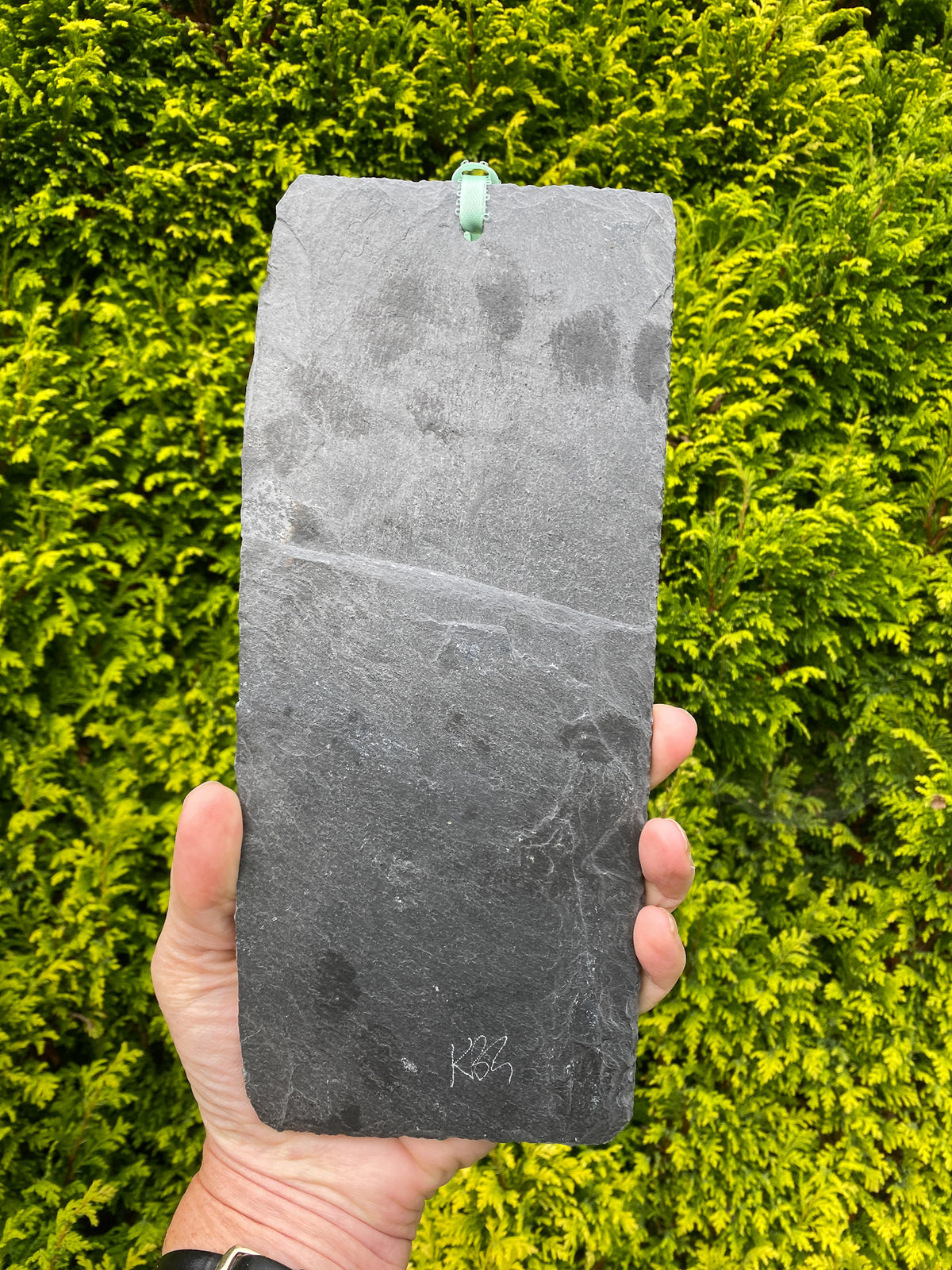 A hand holding a rectangular dark gray slate stone with a small green hanging tag at the top, set against a dense green hedge background.