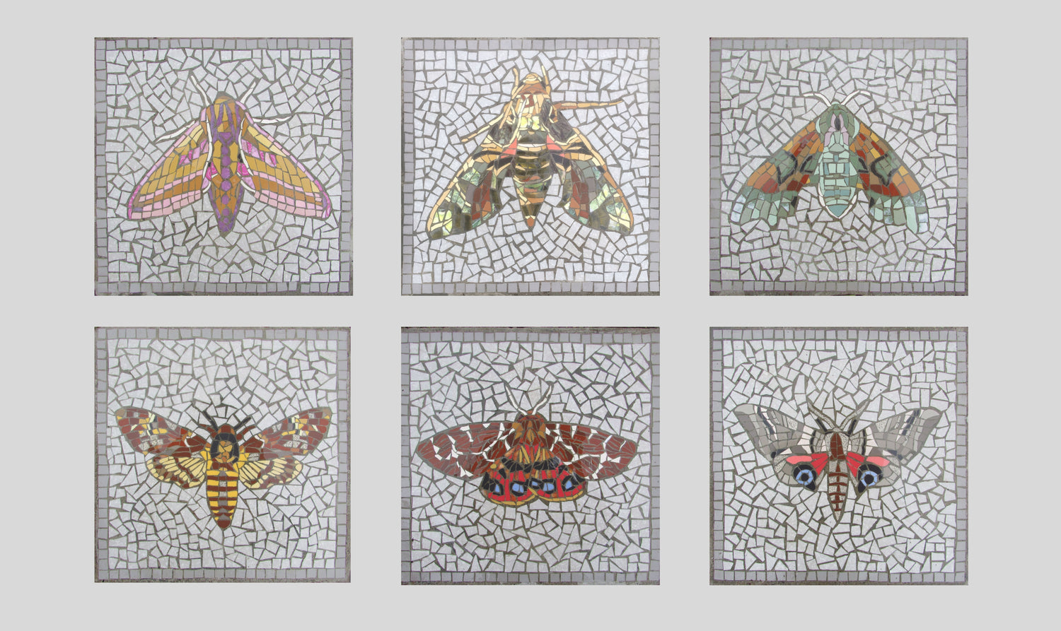 six small stepping stones each with a hawk moth on with a grey background, in mosaic