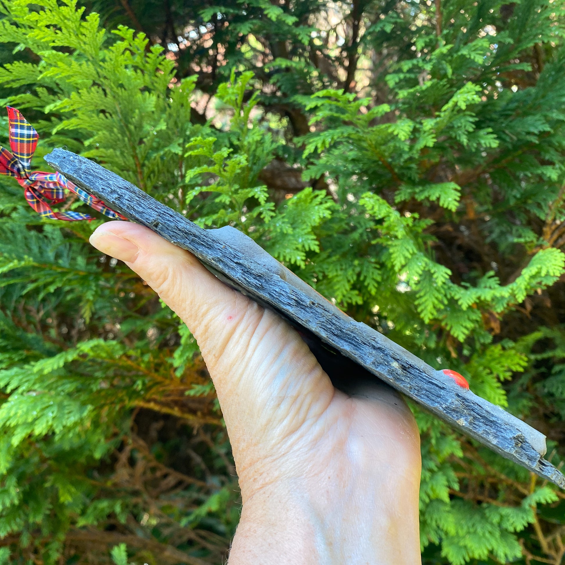 Hand holding a slate mosaic on its side with a green leafy background