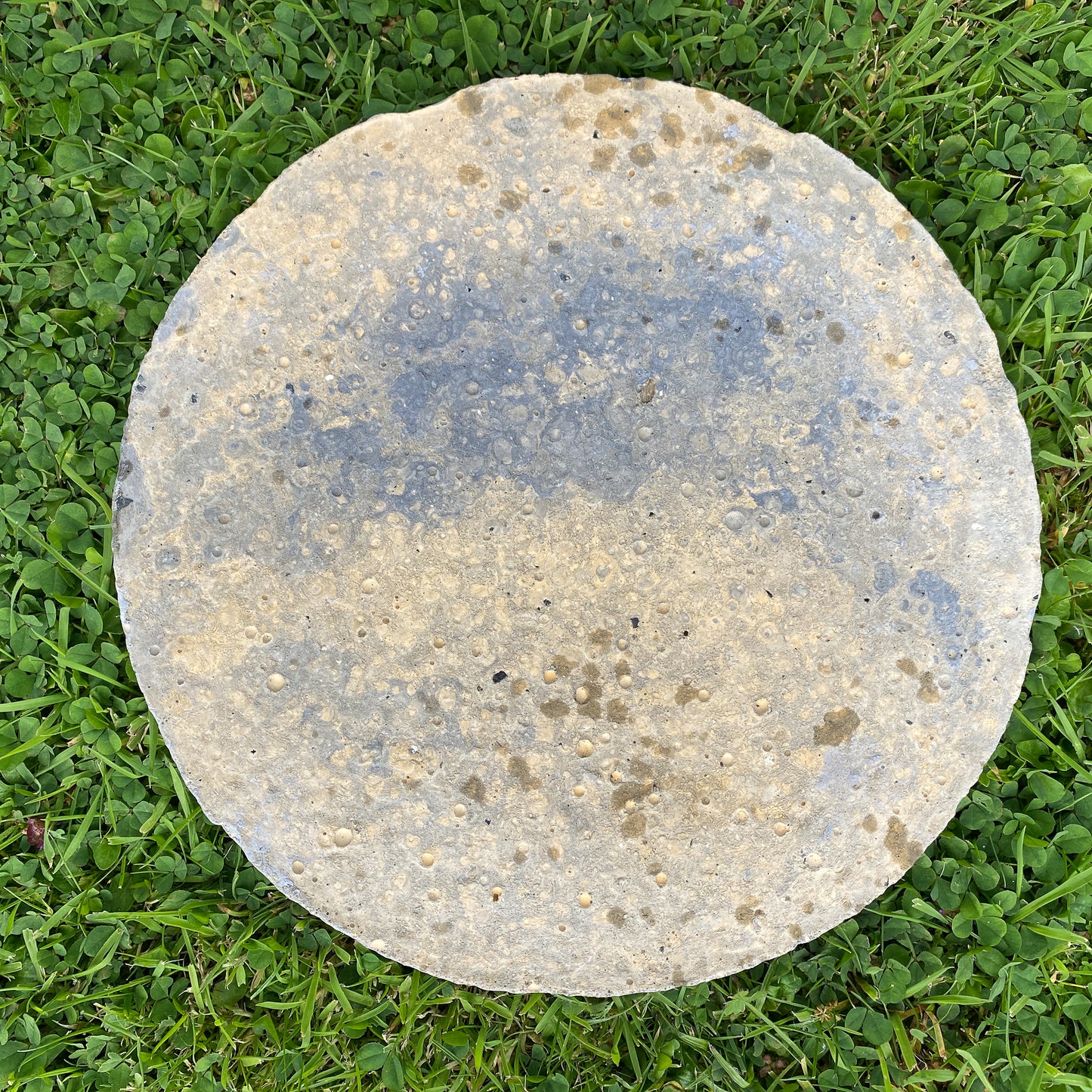 A round concrete or stone paver with a textured, weathered finish in shades of gray and beige, shown lying on green grass.